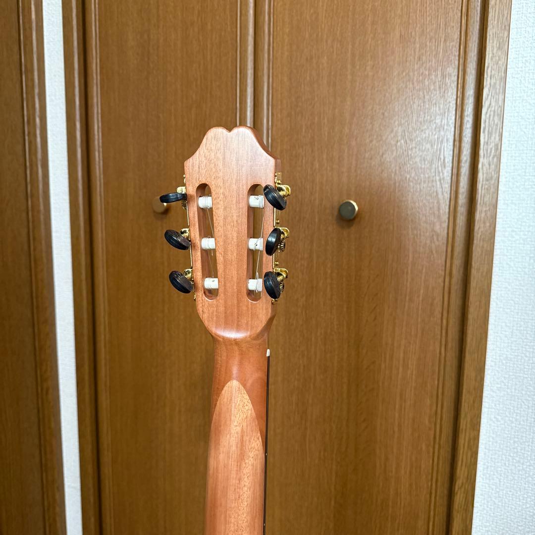 エレガットギター