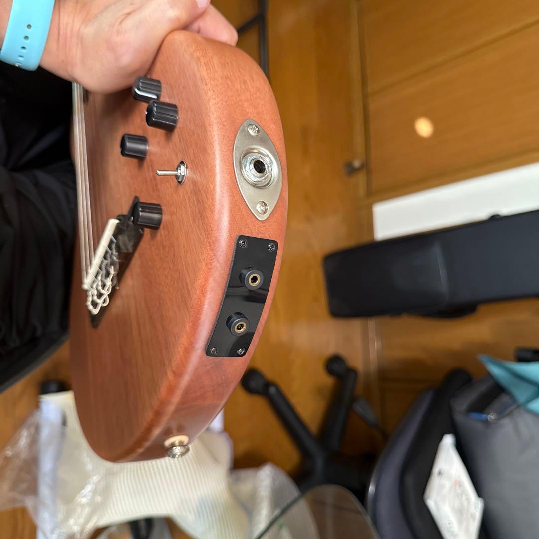 エレガットギター