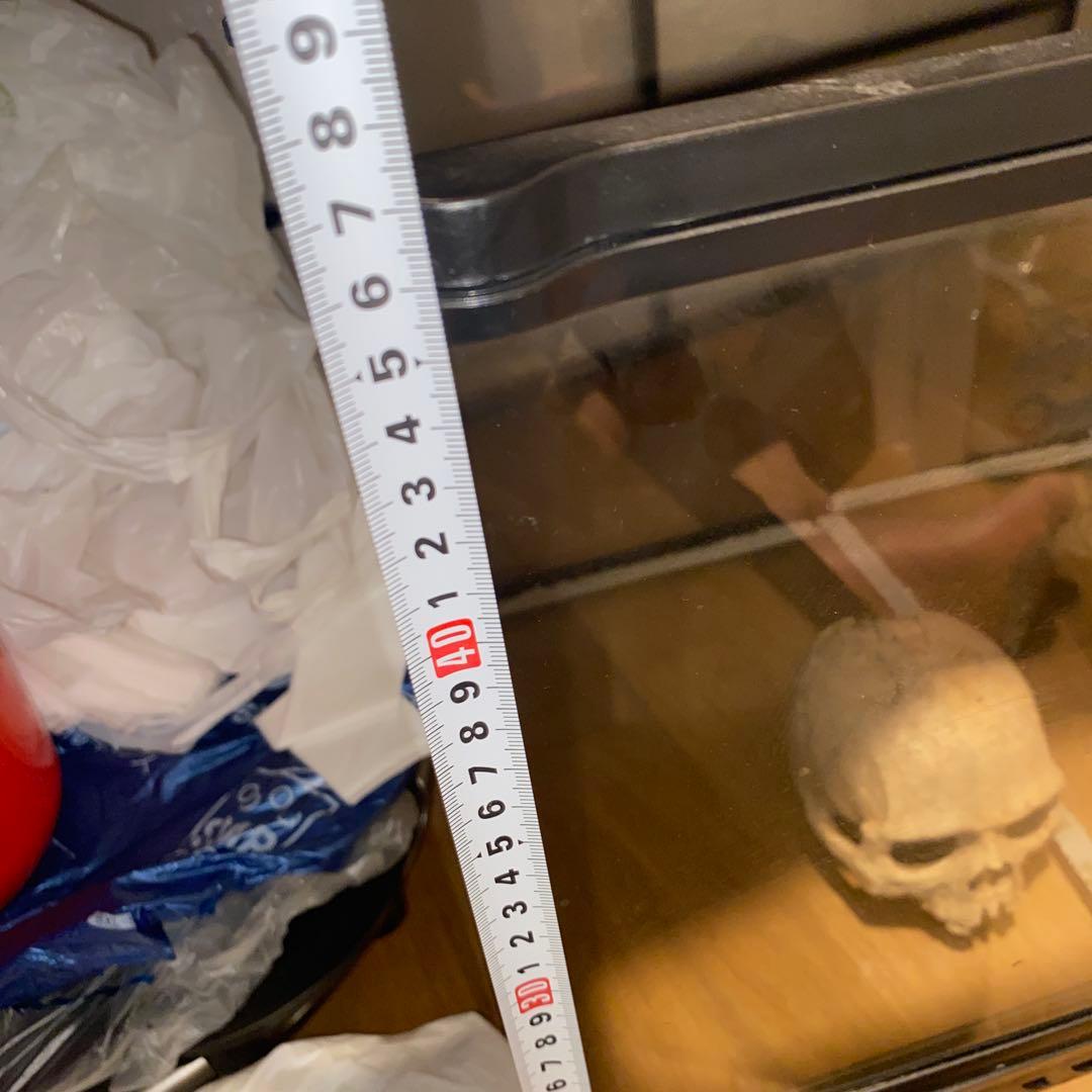 中型透明ガラス飼育ケース