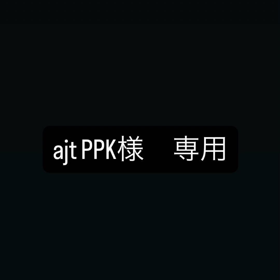 その他 ajt PPK
