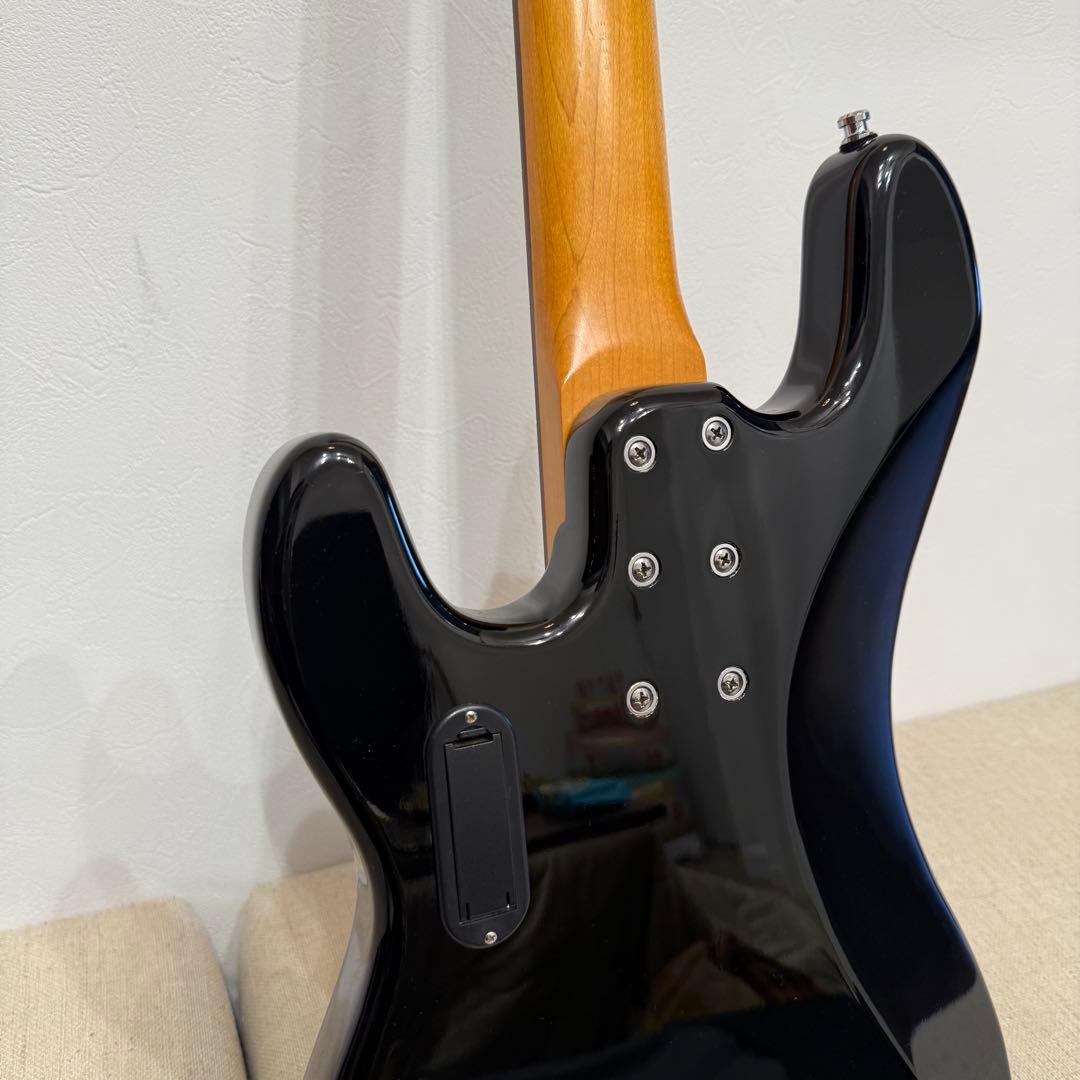 SANDBERG CAPM4 アクティブベース　オリジナルケース付き