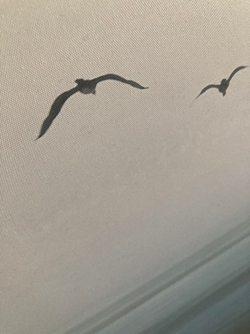 （廃盤）IKEA アートパネル PJÄTTERYD 3点セット 飛び立つ鳥の絵