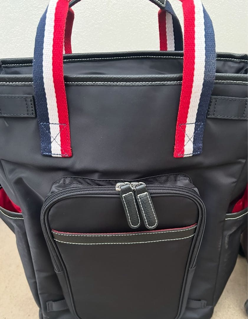 スワニーキャリーバッグLサイズ