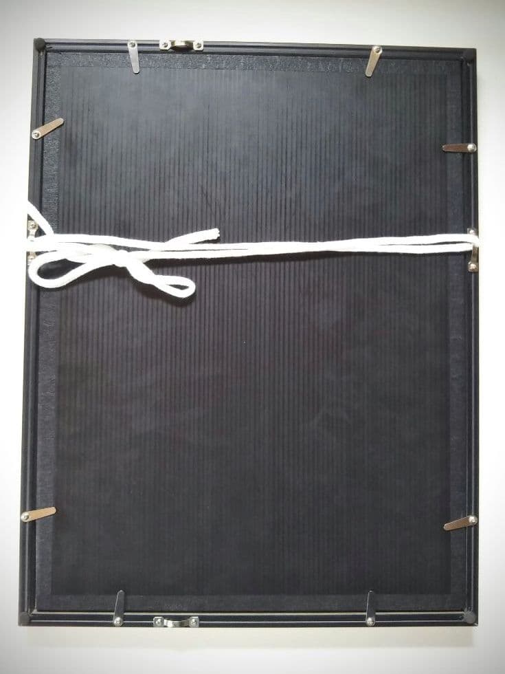 【原画】『種を蒔くカドゥケウス』（猫　植物　パステル画）