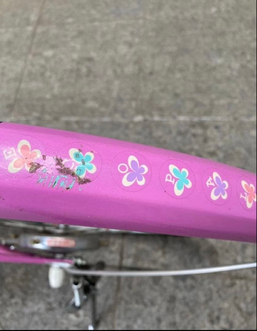 エコパル　ブリヂストン　22インチ　自転車