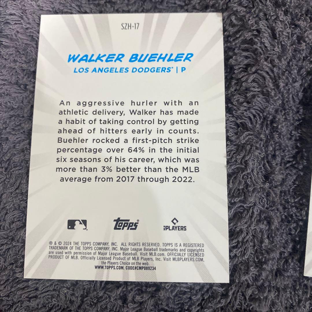 Eury Pérez, Walker Buehler