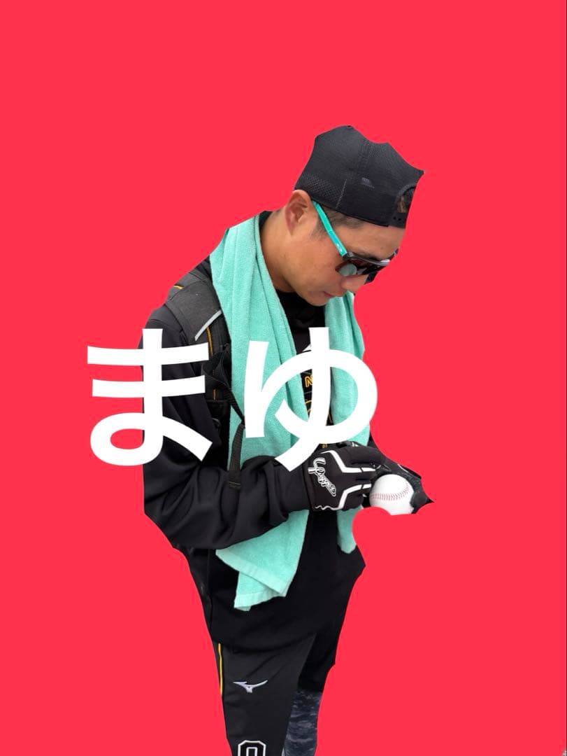 阪神タイガース 木浪聖也 直筆サインボール 沖縄限定 ロゴ 2026