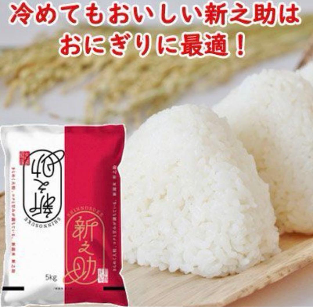 【土日限定】新潟の新ブランド米『新之助』10kg(5kg×2袋)★送料無料★