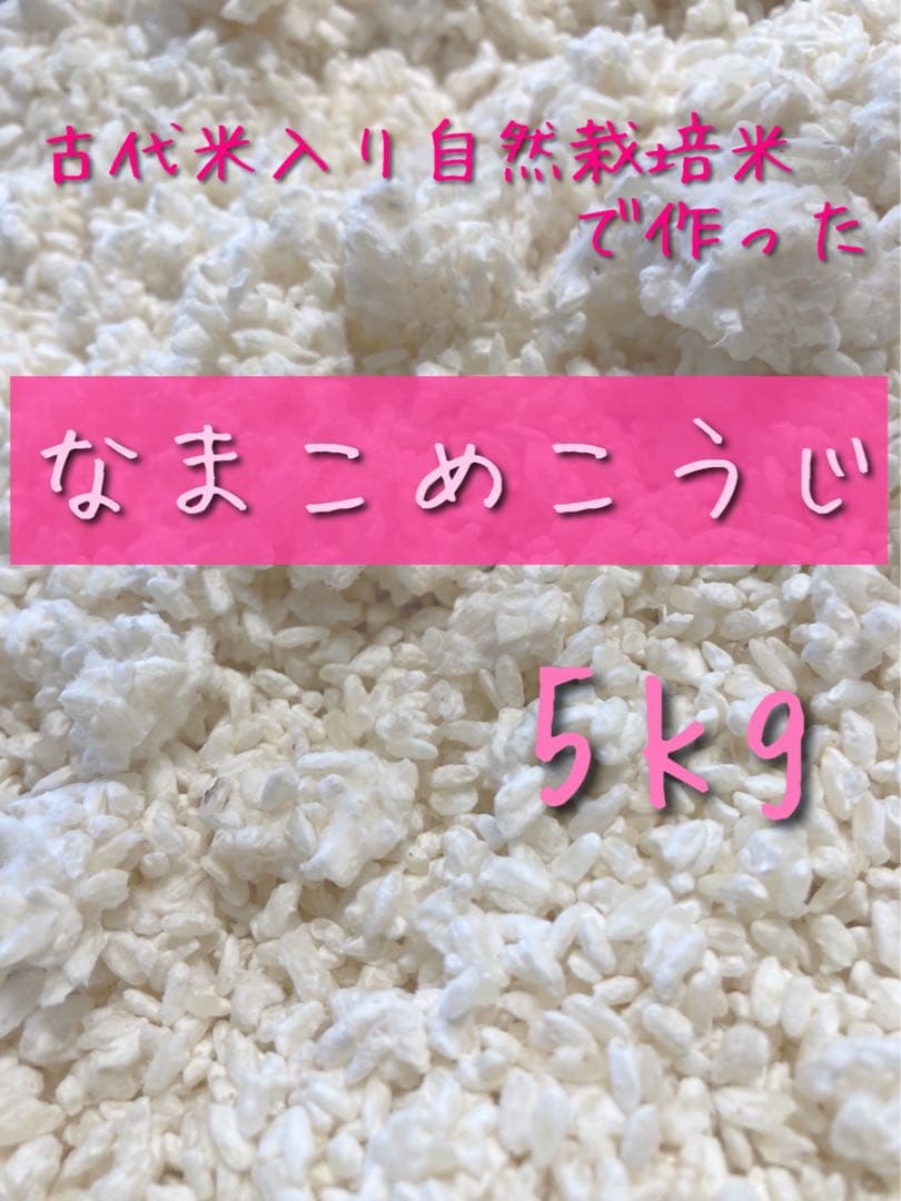 【 mi-karen-puさま専用 】 こめこうじ 5kg・大豆 2kg