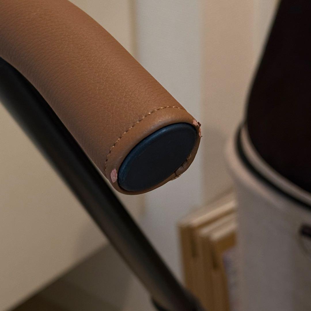 【完売】エアバギー AirBuggy for Pet wiz アースサンド