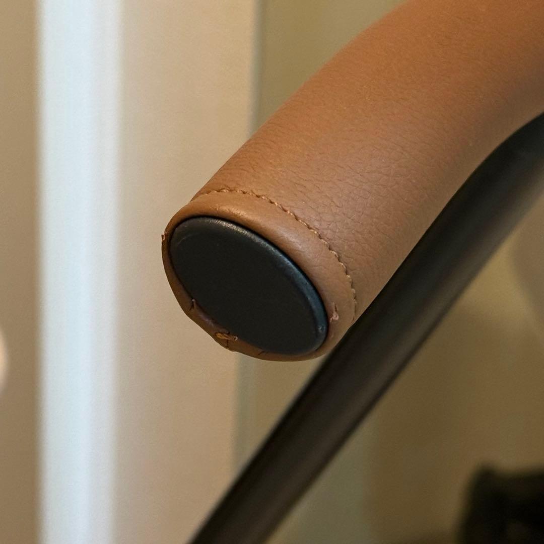 【完売】エアバギー AirBuggy for Pet wiz アースサンド