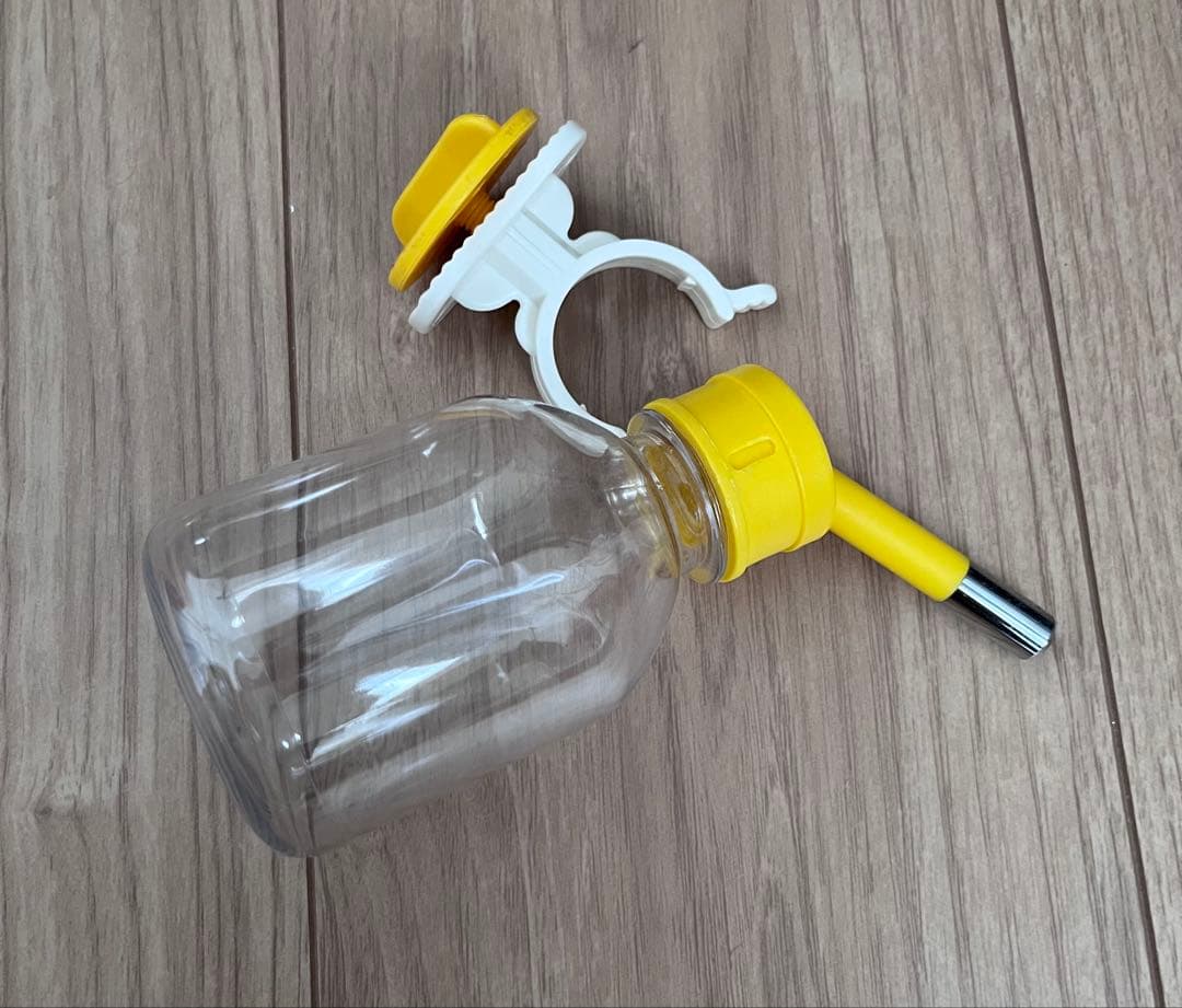 フクロモモンガ　アクリルケージ　ねくすと