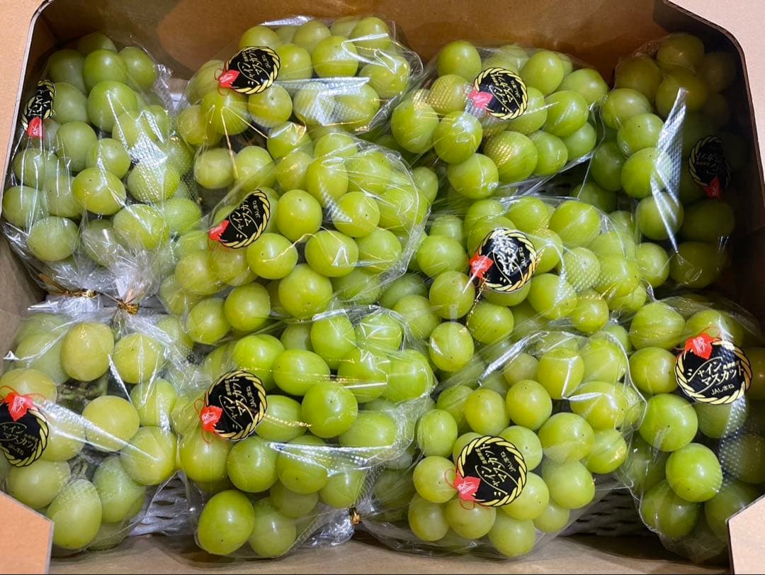 ⑦【島根県産】シャインマスカット約5キロ