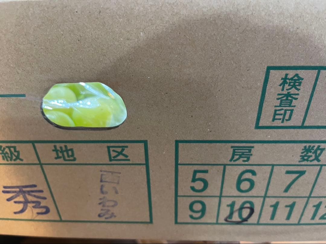 ⑦【島根県産】シャインマスカット約5キロ