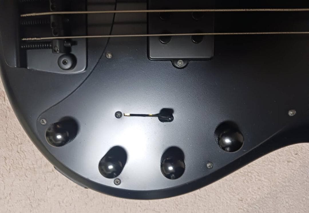 Ernieball MUSICMAN Stingray 5H ミュージックマン