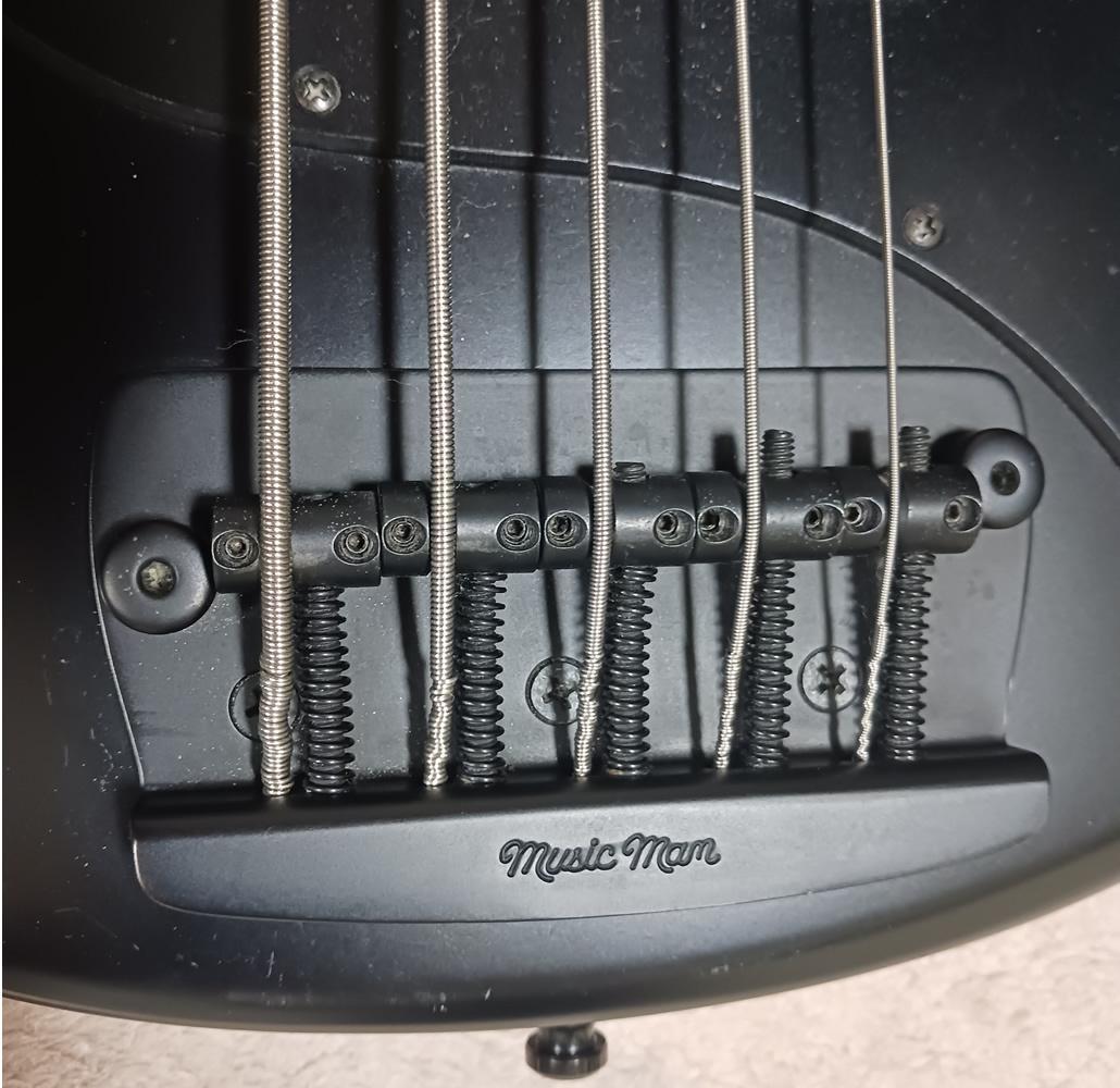 Ernieball MUSICMAN Stingray 5H ミュージックマン