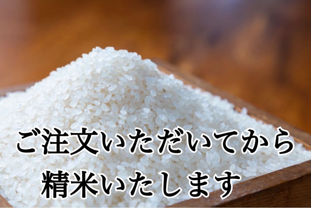 雪若丸　10kg 令和7年　山形　特別栽培米