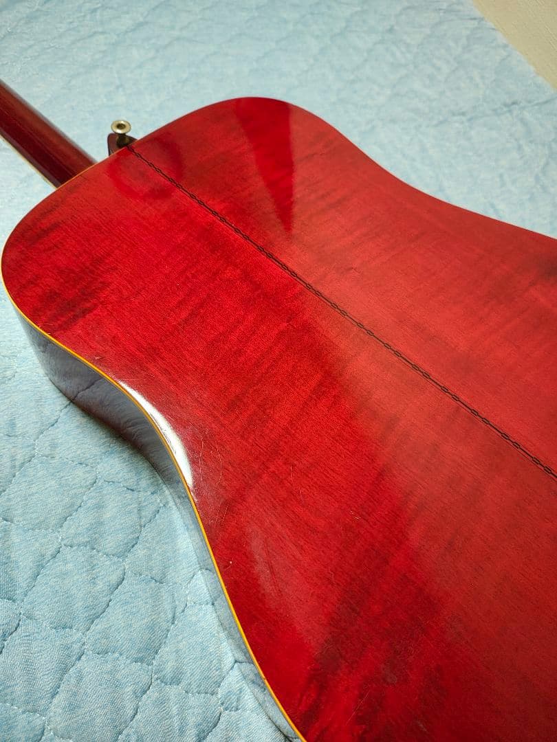 AriaハミングバードWD-33/ハードケース