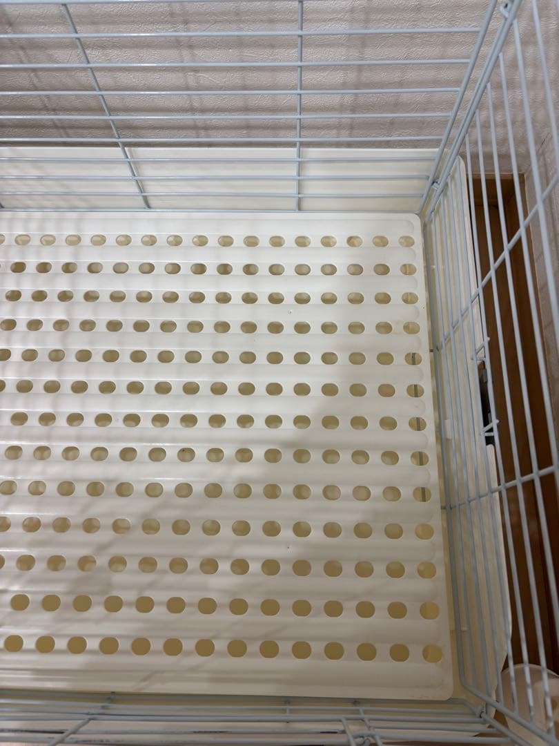 三晃商会 SANKO イージーホーム ホワイト 60