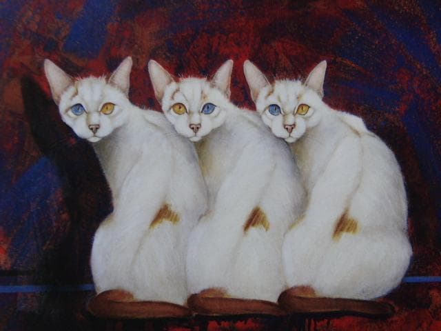 テリー今野、【三びきの猫】、希少な画集より、状態良好、新品高級額装付