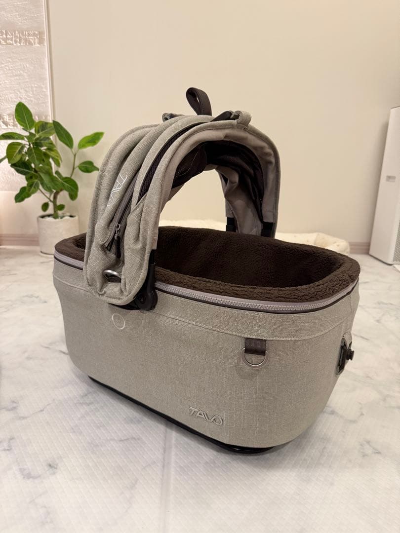 TAVO Maeve メイブ　5X FAWN コットのみ単品です。