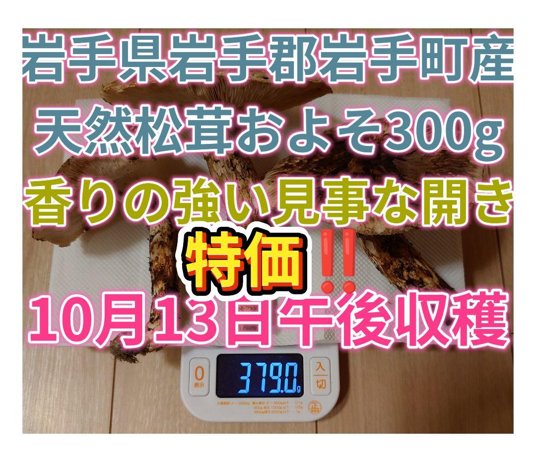 #岩手県岩手郡岩手町産天然松茸およそ300g 特価開き