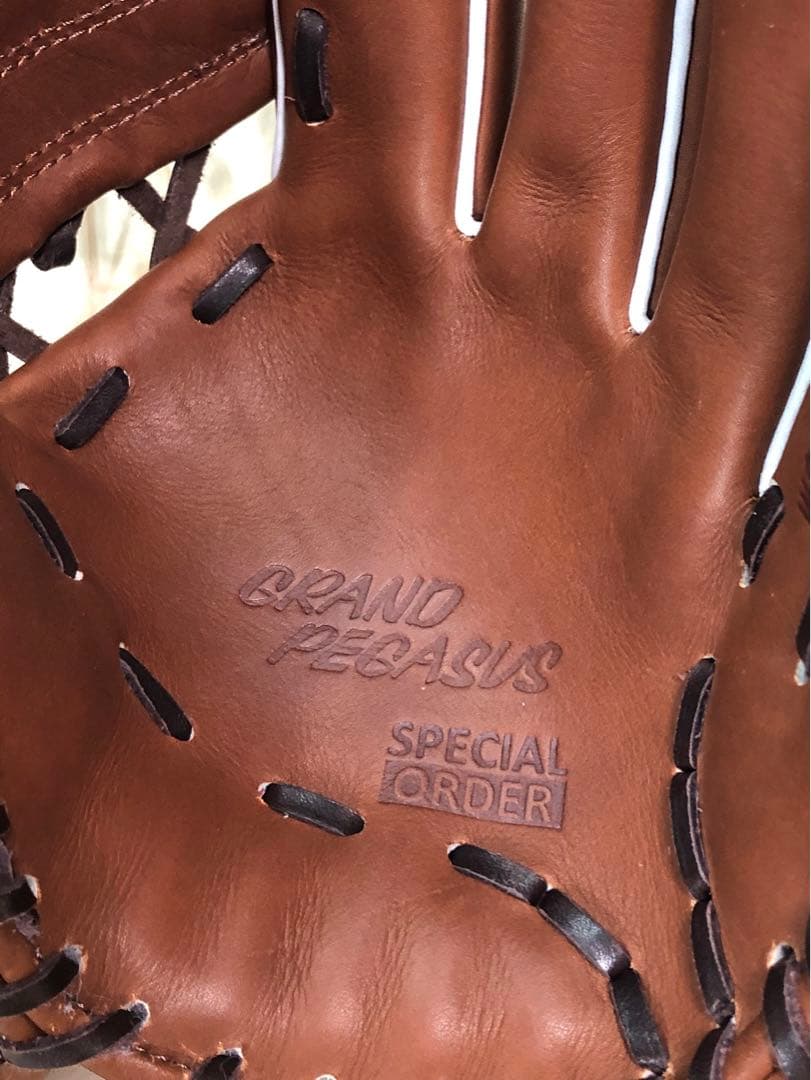 ワールドペガサス グランドペガサス オーダーグラブ 型付け済み 軟式