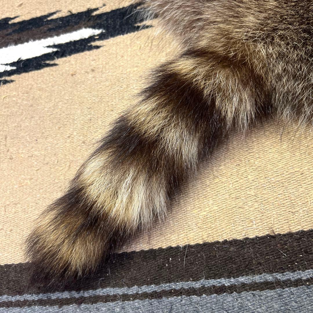 極上特大ラクーン　尻あて腰当尻皮　登山　スキー　キャンプ　ヒップガード　毛皮敷物