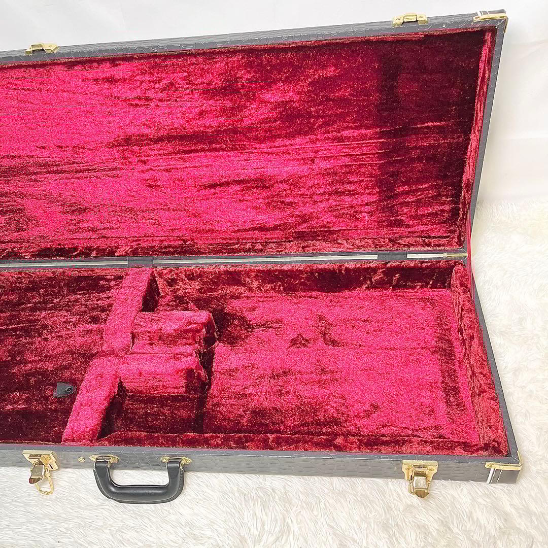 【美品】History 鰐革風 ベース用ハードケース