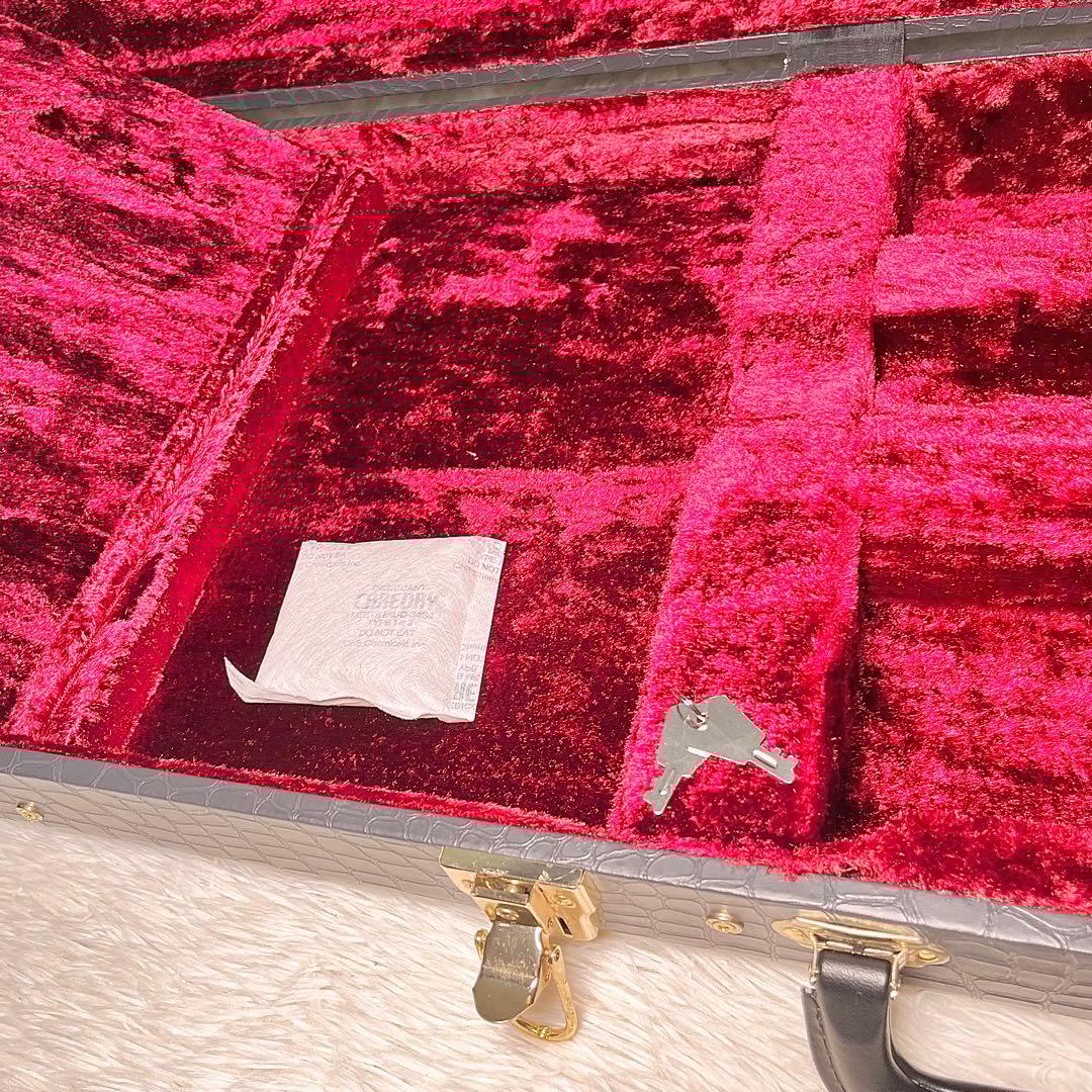 【美品】History 鰐革風 ベース用ハードケース