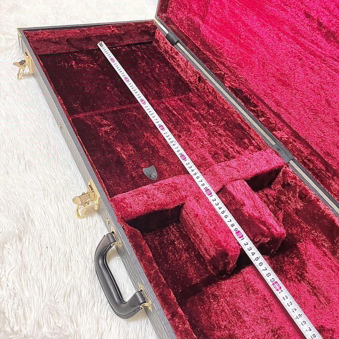 【美品】History 鰐革風 ベース用ハードケース