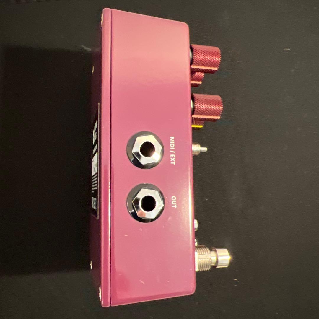 chase bliss Brothers AM (#329)美品 音出しのみ