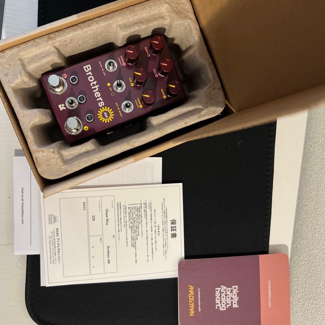 chase bliss Brothers AM (#329)美品 音出しのみ