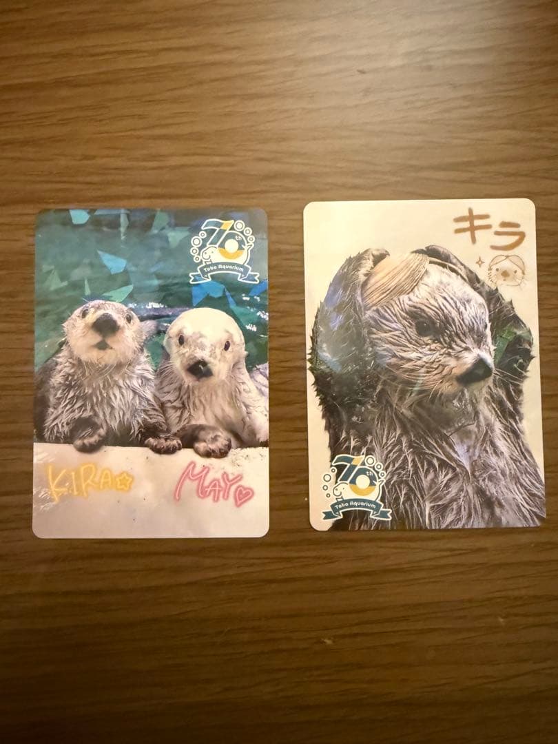 鳥羽水族館トレーディングカード 70周年記念　メイ　キララ