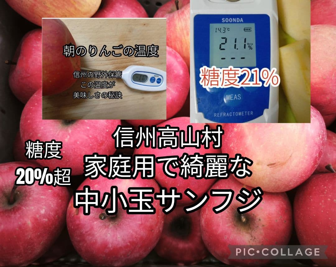 糖度21%！味は贈答用クラス10キロ【シャキシャキ】信州高山村産サンフジ