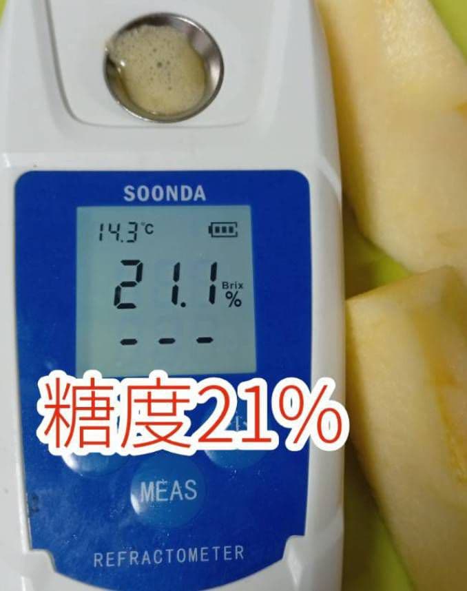 糖度21%！味は贈答用クラス10キロ【シャキシャキ】信州高山村産サンフジ