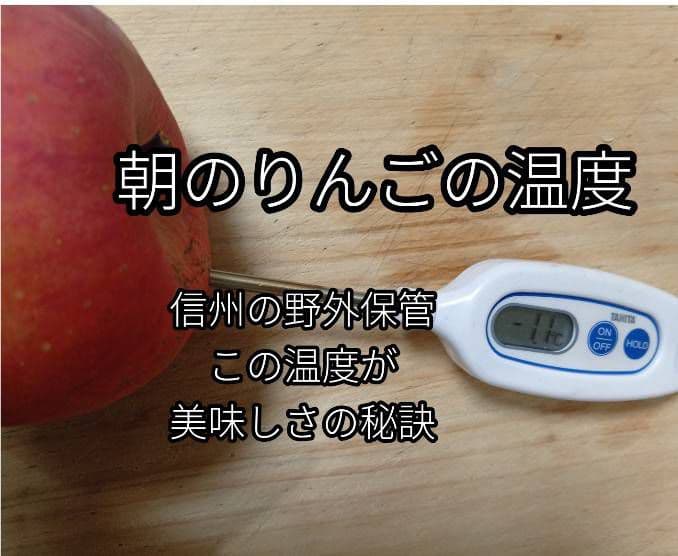 糖度21%！味は贈答用クラス10キロ【シャキシャキ】信州高山村産サンフジ