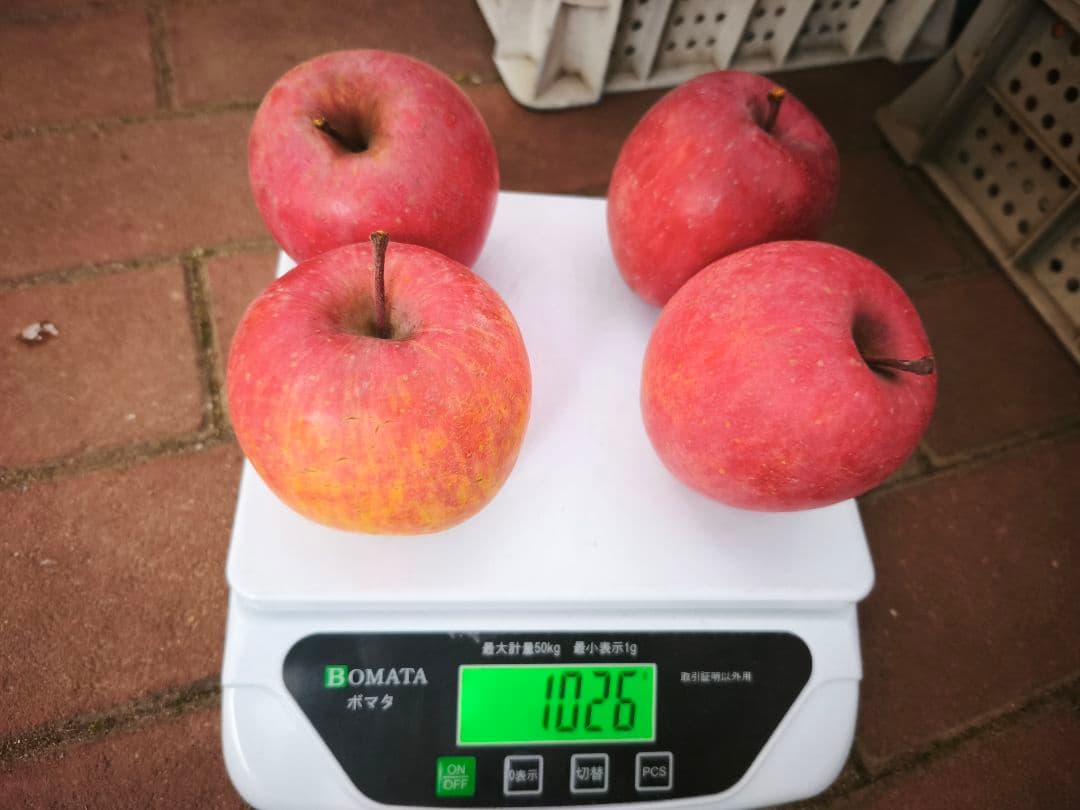 糖度21%！味は贈答用クラス10キロ【シャキシャキ】信州高山村産サンフジ