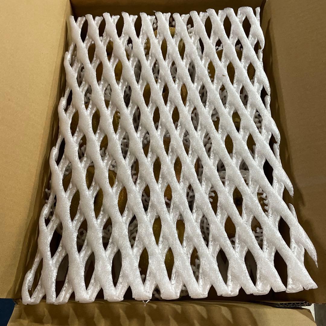 すみちゃん　鳥取県産 王秋梨10キロ