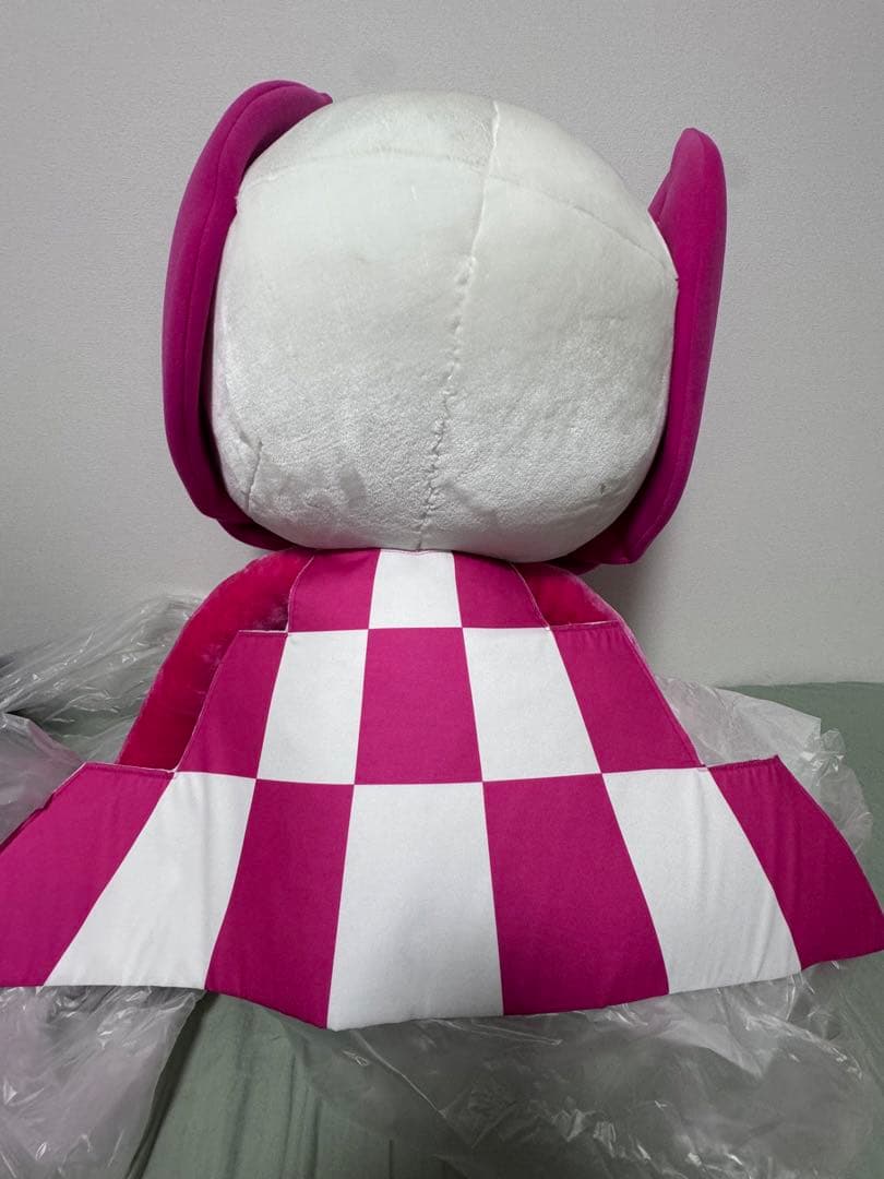 東京オリンピック　パラリンピック　ソメイティ　3L