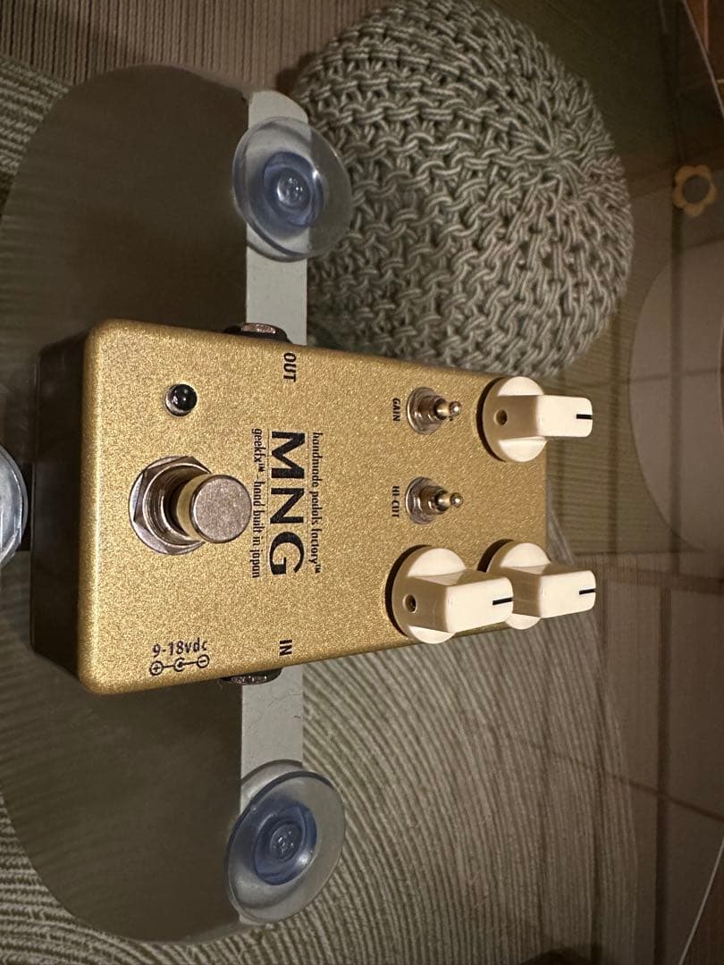 HMPF Morning Gloryクローン