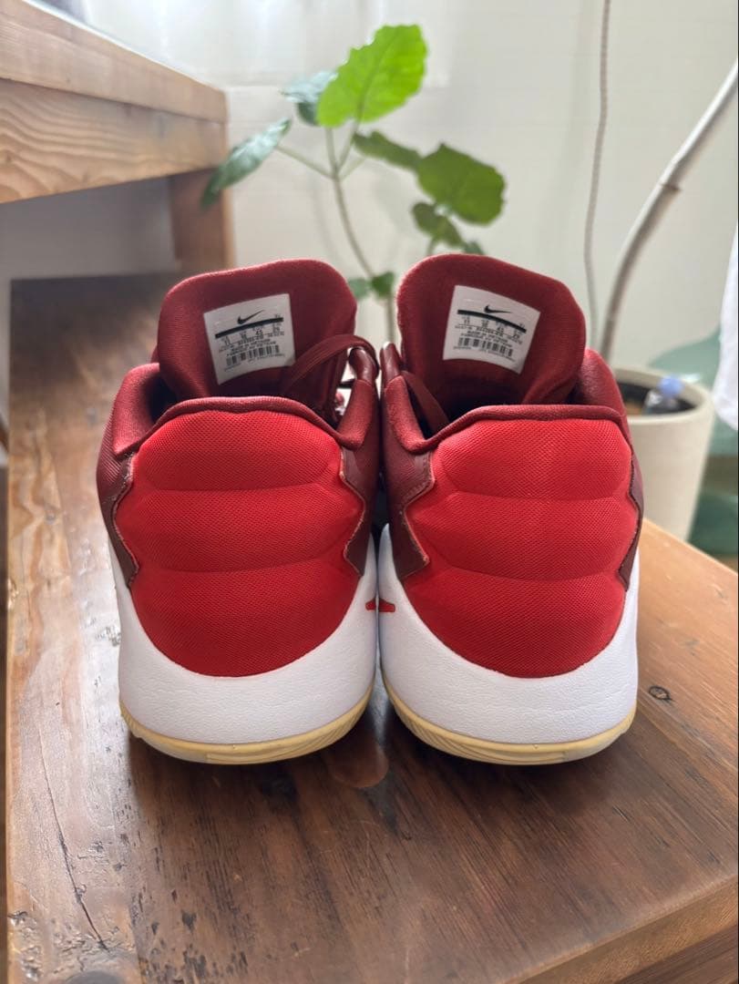 NIKE ハイパーダンク2016 ローカットタイプ