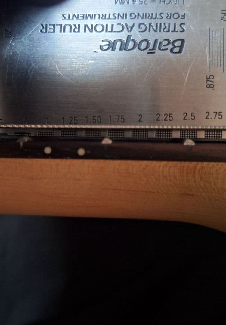 LEGEND テレキャスター タイプ 2TS フェンダーヘッド ソフトケース