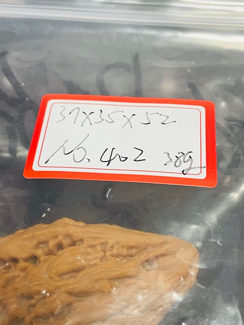 厚揚げNo.402❤️遊ぶクルミ　文玩核桃 希少変異種坐佛