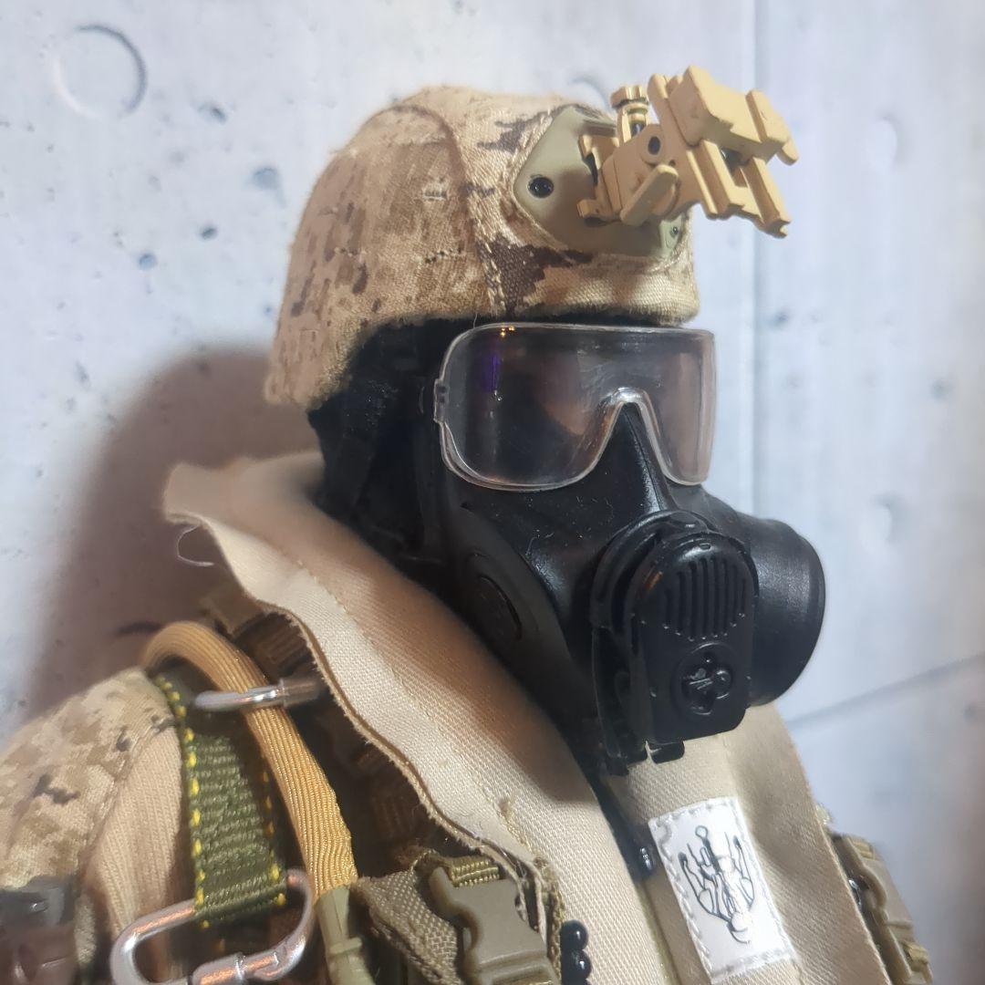 1/6 12インチ 特殊部隊カスタムフィギュア CS108