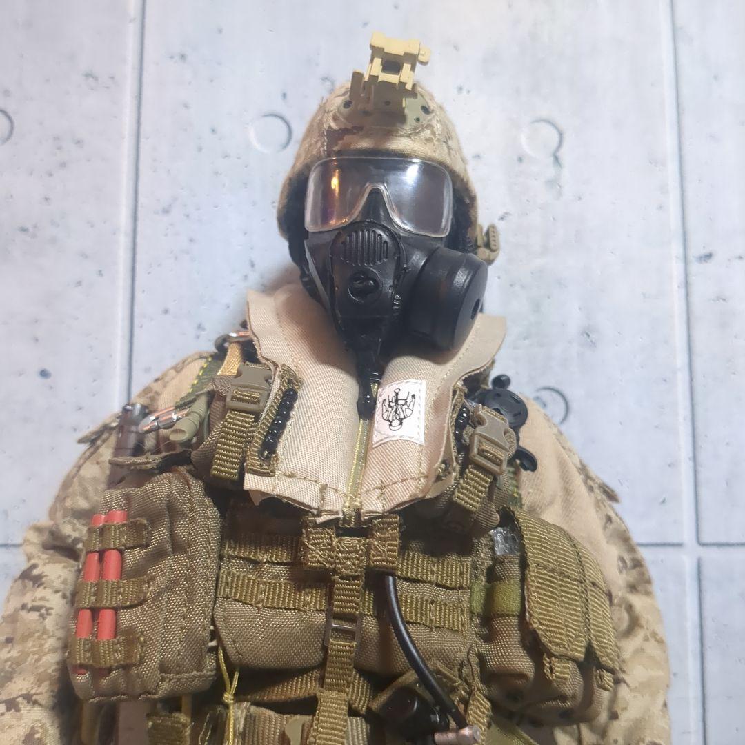 1/6 12インチ 特殊部隊カスタムフィギュア CS108