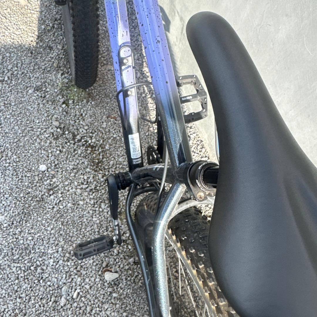 オールシティ All-city electric queen S allcity