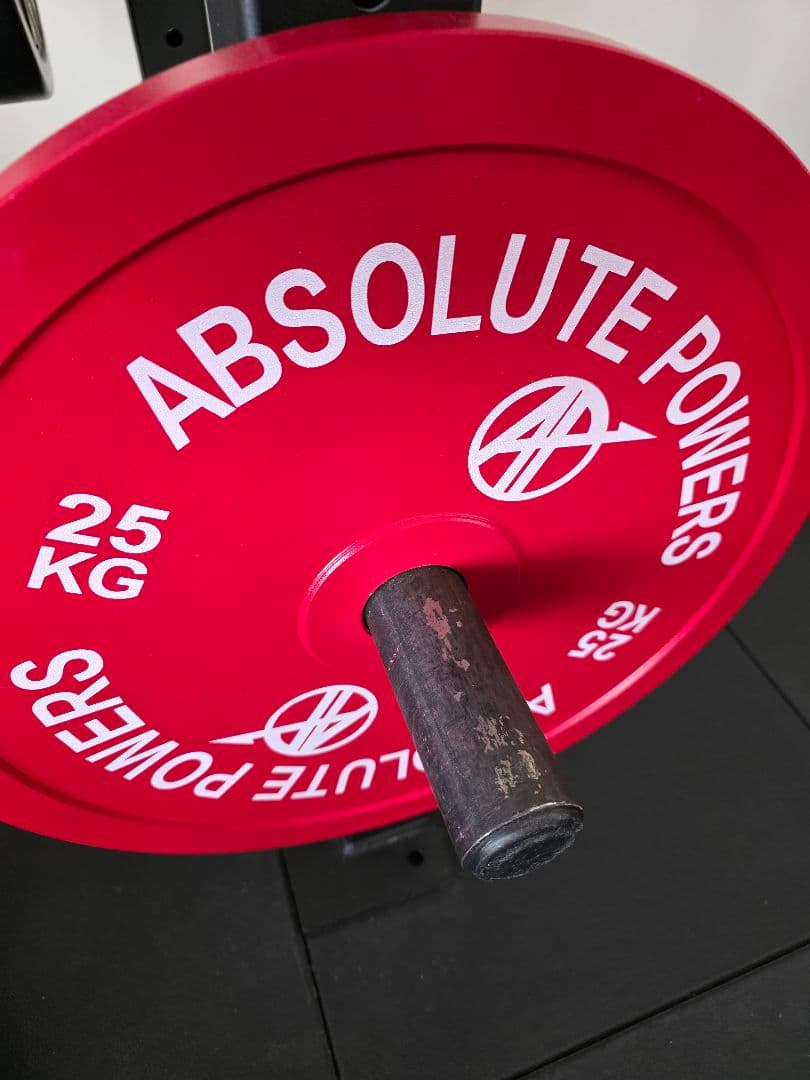 ABSOLUTE POWERS 25KG バーベルプレート　2枚
