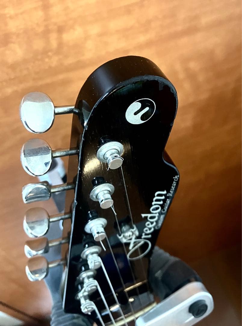 ギター Freedom C.G.R. Black Pepper