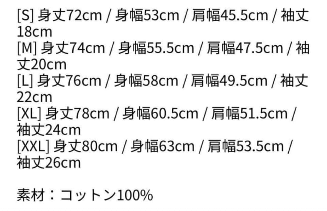 Lady Gaga Mayhem Ball ツアーTシャツ　Lサイズ